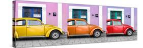 ¡Viva Mexico! Panoramic Collection - Three VW Beetle Cars with Colors Street Wall XVII-Philippe Hugonnard-Stretched Canvas