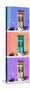 ¡Viva Mexico! Panoramic Collection - Tree Colorful Doors X-Philippe Hugonnard-Stretched Canvas