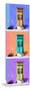 ¡Viva Mexico! Panoramic Collection - Tree Colorful Doors X-Philippe Hugonnard-Mounted Photographic Print