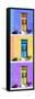 ¡Viva Mexico! Panoramic Collection - Tree Colorful Doors XI-Philippe Hugonnard-Framed Stretched Canvas