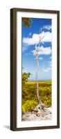 ¡Viva Mexico! Panoramic Collection - View of the Jungle II-Philippe Hugonnard-Framed Photographic Print