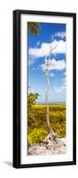 ¡Viva Mexico! Panoramic Collection - View of the Jungle II-Philippe Hugonnard-Framed Photographic Print