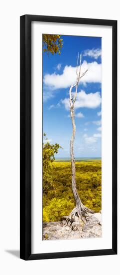 ¡Viva Mexico! Panoramic Collection - View of the Jungle II-Philippe Hugonnard-Framed Photographic Print