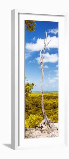 ¡Viva Mexico! Panoramic Collection - View of the Jungle II-Philippe Hugonnard-Framed Photographic Print