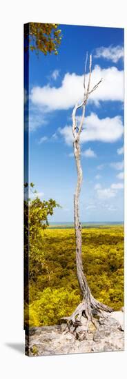 ¡Viva Mexico! Panoramic Collection - View of the Jungle II-Philippe Hugonnard-Stretched Canvas