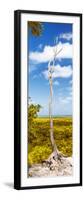 ¡Viva Mexico! Panoramic Collection - View of the Jungle II-Philippe Hugonnard-Framed Photographic Print