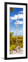 ¡Viva Mexico! Panoramic Collection - View of the Jungle II-Philippe Hugonnard-Framed Photographic Print