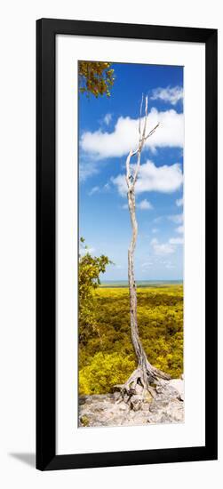 ¡Viva Mexico! Panoramic Collection - View of the Jungle II-Philippe Hugonnard-Framed Photographic Print