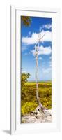 ¡Viva Mexico! Panoramic Collection - View of the Jungle II-Philippe Hugonnard-Framed Photographic Print