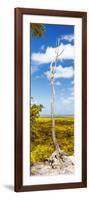 ¡Viva Mexico! Panoramic Collection - View of the Jungle II-Philippe Hugonnard-Framed Photographic Print