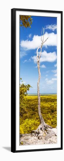 ¡Viva Mexico! Panoramic Collection - View of the Jungle II-Philippe Hugonnard-Framed Photographic Print