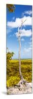 ¡Viva Mexico! Panoramic Collection - View of the Jungle II-Philippe Hugonnard-Mounted Photographic Print