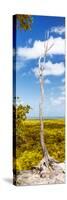 ¡Viva Mexico! Panoramic Collection - View of the Jungle II-Philippe Hugonnard-Stretched Canvas