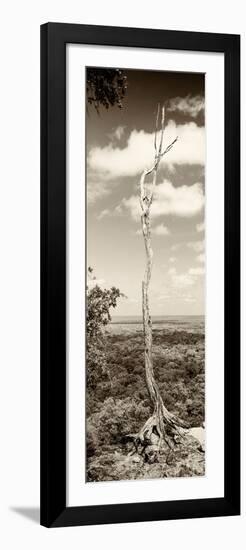 ¡Viva Mexico! Panoramic Collection - View of the Jungle III-Philippe Hugonnard-Framed Photographic Print