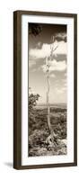 ¡Viva Mexico! Panoramic Collection - View of the Jungle III-Philippe Hugonnard-Framed Photographic Print