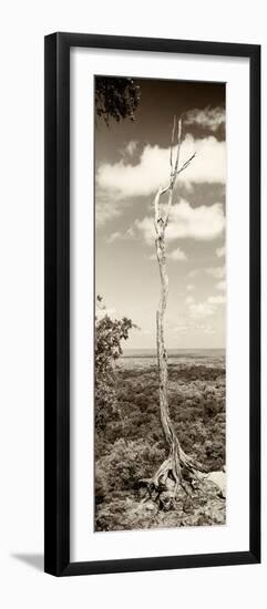 ¡Viva Mexico! Panoramic Collection - View of the Jungle III-Philippe Hugonnard-Framed Photographic Print