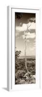 ¡Viva Mexico! Panoramic Collection - View of the Jungle III-Philippe Hugonnard-Framed Photographic Print