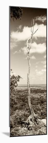 ¡Viva Mexico! Panoramic Collection - View of the Jungle III-Philippe Hugonnard-Mounted Photographic Print