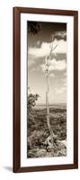 ¡Viva Mexico! Panoramic Collection - View of the Jungle III-Philippe Hugonnard-Framed Photographic Print