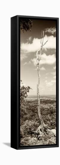 ¡Viva Mexico! Panoramic Collection - View of the Jungle III-Philippe Hugonnard-Framed Stretched Canvas