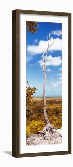 ¡Viva Mexico! Panoramic Collection - View of the Jungle IV-Philippe Hugonnard-Framed Photographic Print