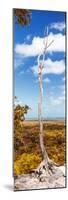 ¡Viva Mexico! Panoramic Collection - View of the Jungle IV-Philippe Hugonnard-Mounted Photographic Print