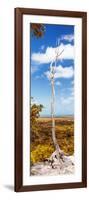 ¡Viva Mexico! Panoramic Collection - View of the Jungle IV-Philippe Hugonnard-Framed Photographic Print