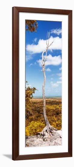 ¡Viva Mexico! Panoramic Collection - View of the Jungle IV-Philippe Hugonnard-Framed Photographic Print