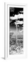 ¡Viva Mexico! Panoramic Collection - View of the Jungle V-Philippe Hugonnard-Framed Photographic Print