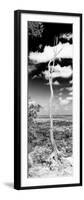 ¡Viva Mexico! Panoramic Collection - View of the Jungle V-Philippe Hugonnard-Framed Photographic Print