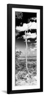 ¡Viva Mexico! Panoramic Collection - View of the Jungle V-Philippe Hugonnard-Framed Photographic Print