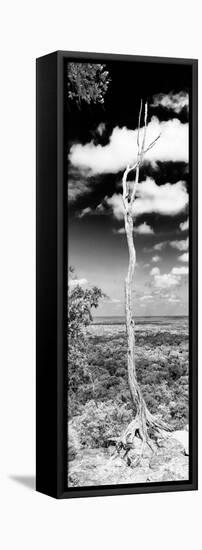 ¡Viva Mexico! Panoramic Collection - View of the Jungle V-Philippe Hugonnard-Framed Stretched Canvas