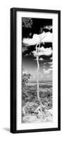 ¡Viva Mexico! Panoramic Collection - View of the Jungle V-Philippe Hugonnard-Framed Premium Photographic Print