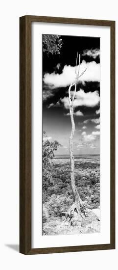¡Viva Mexico! Panoramic Collection - View of the Jungle V-Philippe Hugonnard-Framed Photographic Print