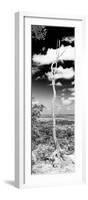 ¡Viva Mexico! Panoramic Collection - View of the Jungle V-Philippe Hugonnard-Framed Photographic Print