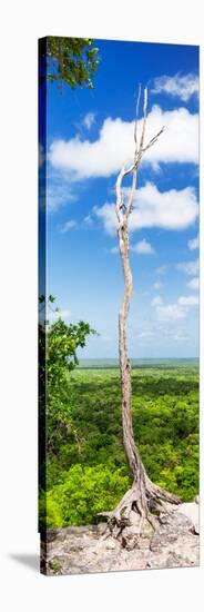 ¡Viva Mexico! Panoramic Collection - View of the Jungle-Philippe Hugonnard-Stretched Canvas