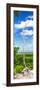 ¡Viva Mexico! Panoramic Collection - View of the Jungle-Philippe Hugonnard-Framed Photographic Print