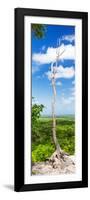 ¡Viva Mexico! Panoramic Collection - View of the Jungle-Philippe Hugonnard-Framed Photographic Print