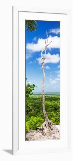 ¡Viva Mexico! Panoramic Collection - View of the Jungle-Philippe Hugonnard-Framed Photographic Print