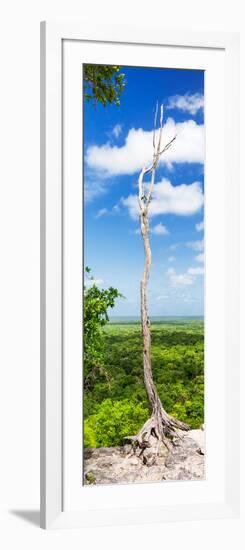 ¡Viva Mexico! Panoramic Collection - View of the Jungle-Philippe Hugonnard-Framed Photographic Print