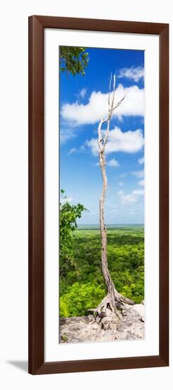 ¡Viva Mexico! Panoramic Collection - View of the Jungle-Philippe Hugonnard-Framed Photographic Print