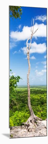 ¡Viva Mexico! Panoramic Collection - View of the Jungle-Philippe Hugonnard-Mounted Photographic Print
