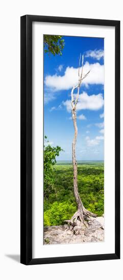 ¡Viva Mexico! Panoramic Collection - View of the Jungle-Philippe Hugonnard-Framed Premium Photographic Print