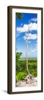 ¡Viva Mexico! Panoramic Collection - View of the Jungle-Philippe Hugonnard-Framed Photographic Print