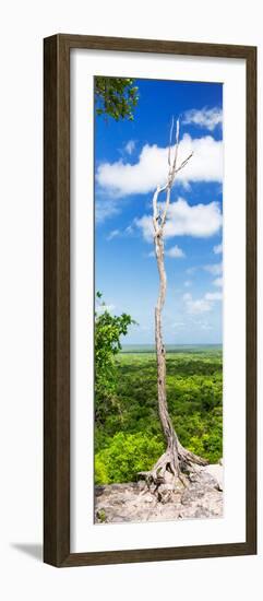 ¡Viva Mexico! Panoramic Collection - View of the Jungle-Philippe Hugonnard-Framed Photographic Print