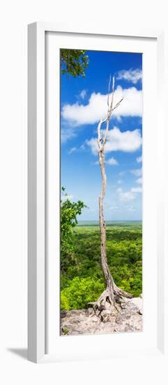 ¡Viva Mexico! Panoramic Collection - View of the Jungle-Philippe Hugonnard-Framed Photographic Print