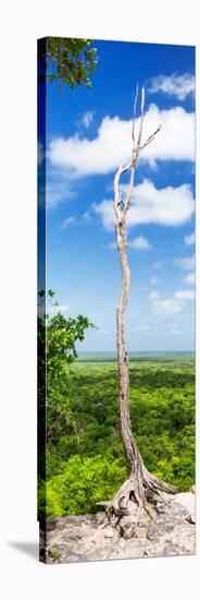 ¡Viva Mexico! Panoramic Collection - View of the Jungle-Philippe Hugonnard-Stretched Canvas