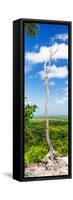¡Viva Mexico! Panoramic Collection - View of the Jungle-Philippe Hugonnard-Framed Stretched Canvas