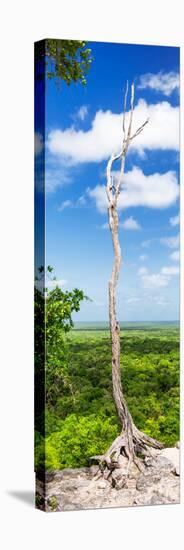 ¡Viva Mexico! Panoramic Collection - View of the Jungle-Philippe Hugonnard-Stretched Canvas