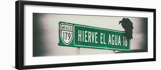 ¡Viva Mexico! Panoramic Collection - Vulture III-Philippe Hugonnard-Framed Photographic Print